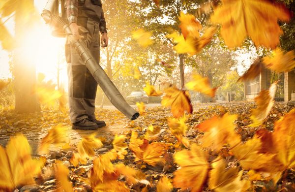 Leaf Blowing Service in Yakima
