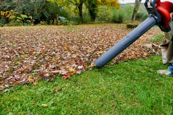Leaf Vacuuming Service in Yakima