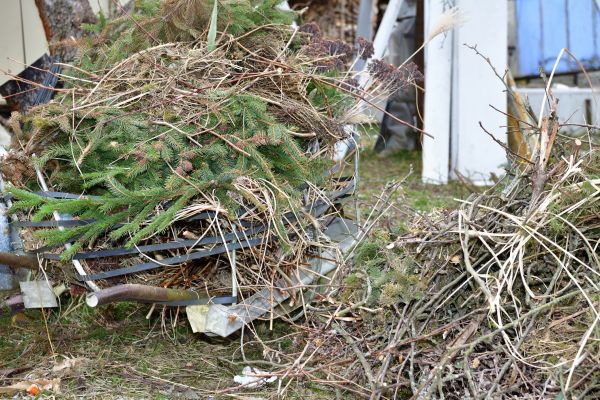 Yard Debris Removal in Yakima