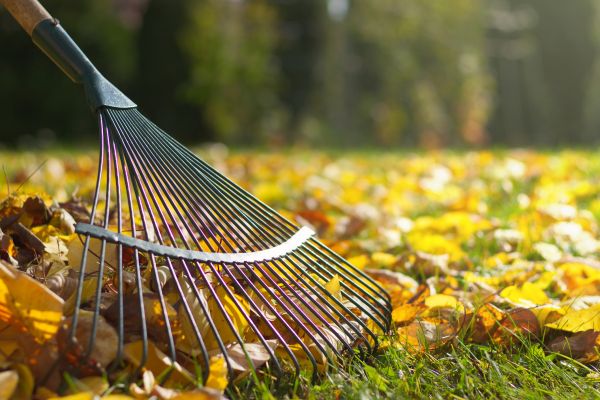Leaf Raking Service in Yakima