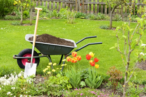 Spring Yard Cleanup in Yakima