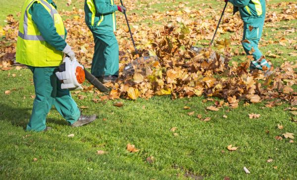 Leaf Maintenance in Yakima