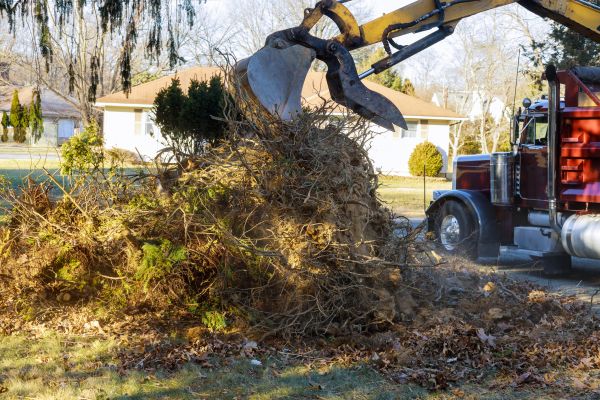 Storm Debris Removal in Yakima