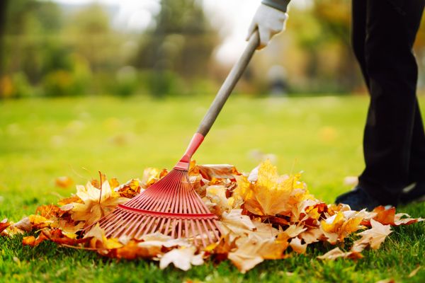 Ditch Leaf Removal in Yakima