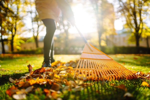 Leaves Raking in Yakima