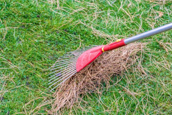 Yard Raking in Yakima