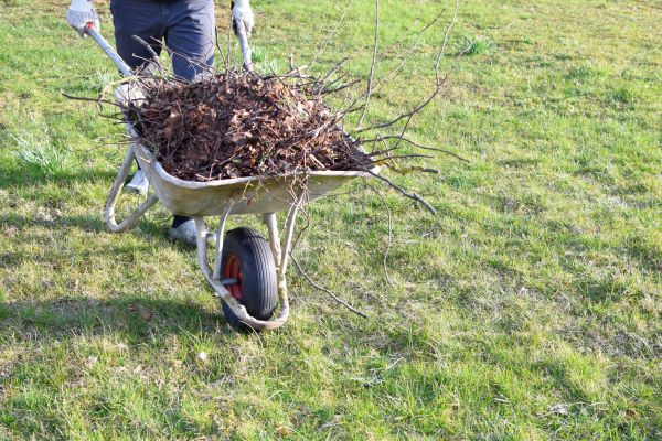 Yard Brush Removal in Yakima