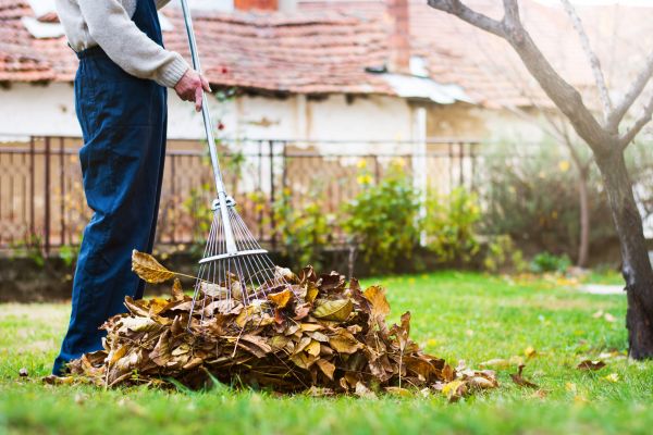 Spring Lawn Cleanup in Yakima