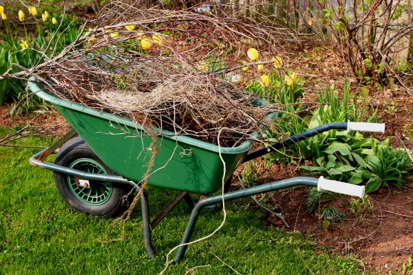 Lawn Waste Removal in Yakima