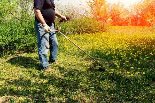 Yard Clearing Service in Yakima