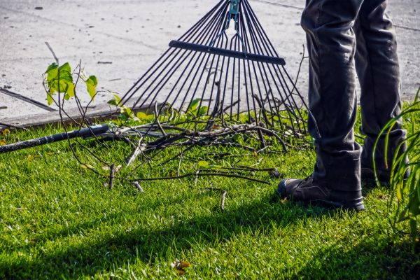 Yard Debris Cleanup in Yakima