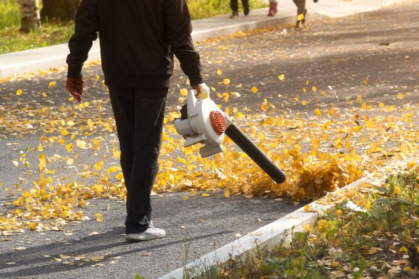 Commercial Leaf Removal in Yakima