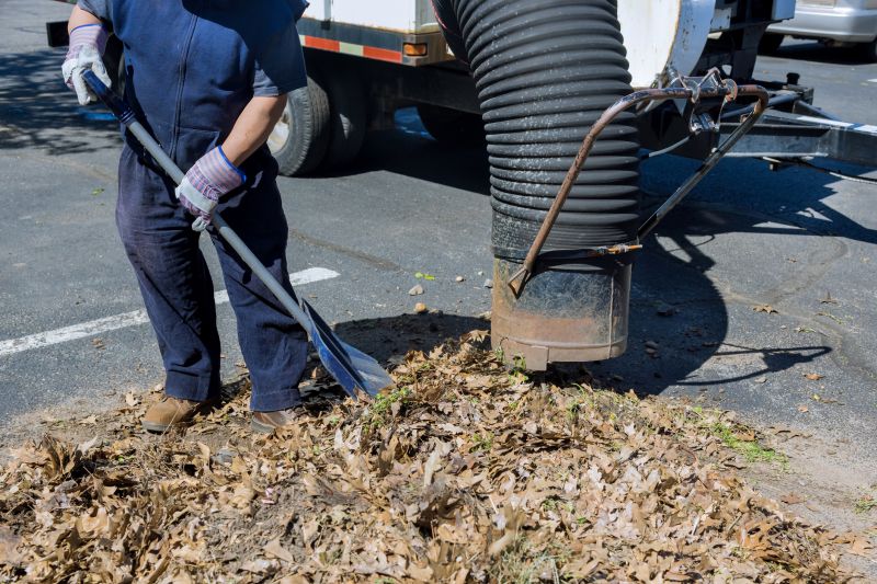 Specialized Yard Clean Up Teams